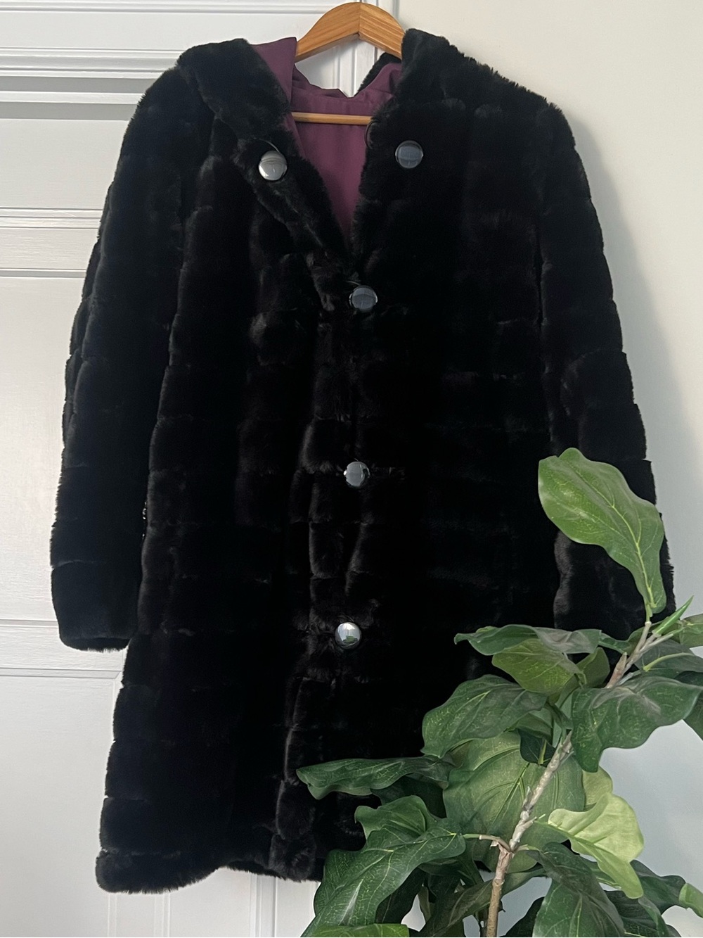 North Style Coat